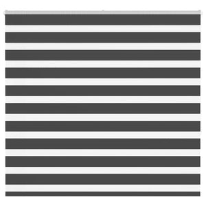 Doppelrollo Schwarz 155x150 cm