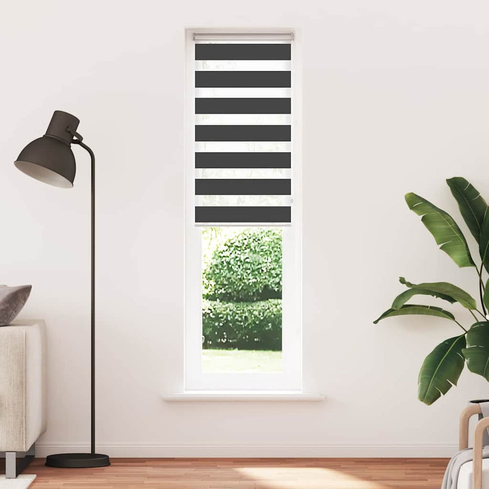 Doppelrollo Schwarz 65x200 cm