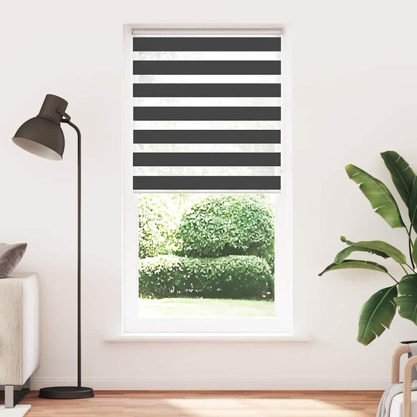 Doppelrollo Schwarz 95x200 cm