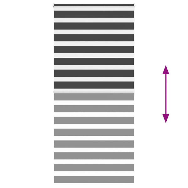 Doppelrollo Schwarz 95x200 cm