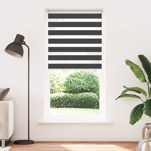 Doppelrollo Schwarz 115x200 cm