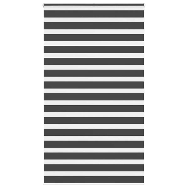 Doppelrollo Schwarz 120x200 cm