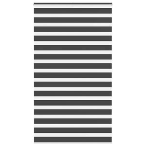 Doppelrollo Schwarz 125x200 cm