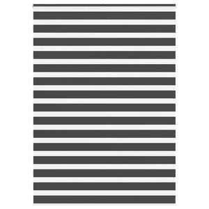 Doppelrollo Schwarz 165x200 cm
