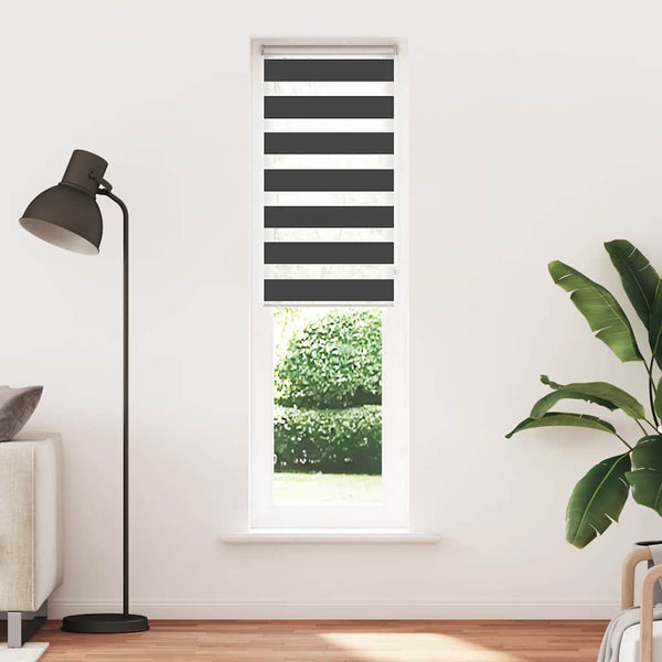 Doppelrollo Schwarz 65x230 cm