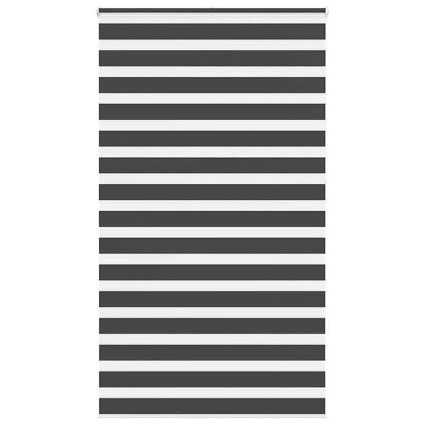 Doppelrollo Schwarz 120x230 cm