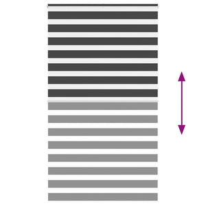 Doppelrollo Schwarz 125x230 cm