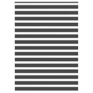 Doppelrollo Schwarz 160x230 cm