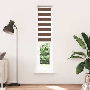 Braun Doppelrollo 50x200 cm