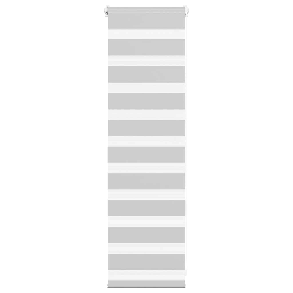 vidaXL Store Enrouleur Double Gris Clair 45x100 cm Largeur du tissu 40,9 cm Polyester