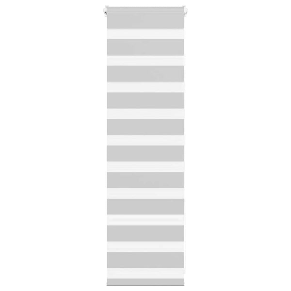 vidaXL Store Enrouleur Double Gris Clair 45x100 cm Largeur du tissu 40,9 cm Polyester