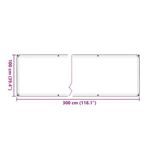vidaXL Bâche transparente avec œillets 1x3 m Polyéthylène