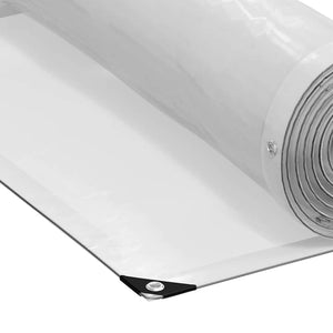 vidaXL Bâche transparente avec œillets 1x3 m Polyéthylène