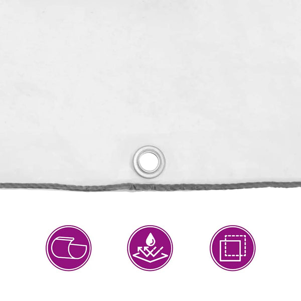 vidaXL Bâche transparente avec œillets 1x3 m Polyéthylène