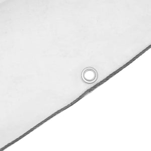 Transparente Plane mit Ösen 1x6 m