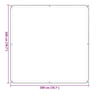 vidaXL Bâche transparente avec œillets 2x2 m en polyéthylène