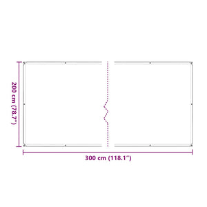 Transparente Plane mit Ösen 2x3 m