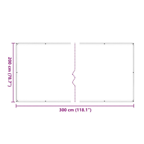 Transparente Plane mit Ösen 2x3 m