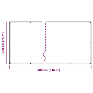 vidaXL Bâche transparente avec œillets 2x6 m Polyéthylène
