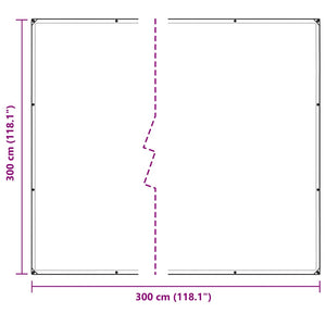 Klare Plane 3x3 m mit Ösen