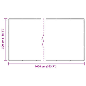 vidaXL Bâche transparente à œillets 3x10 m Polyéthylène