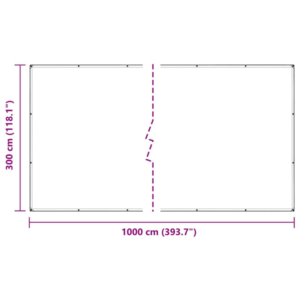 vidaXL Bâche transparente à œillets 3x10 m Polyéthylène