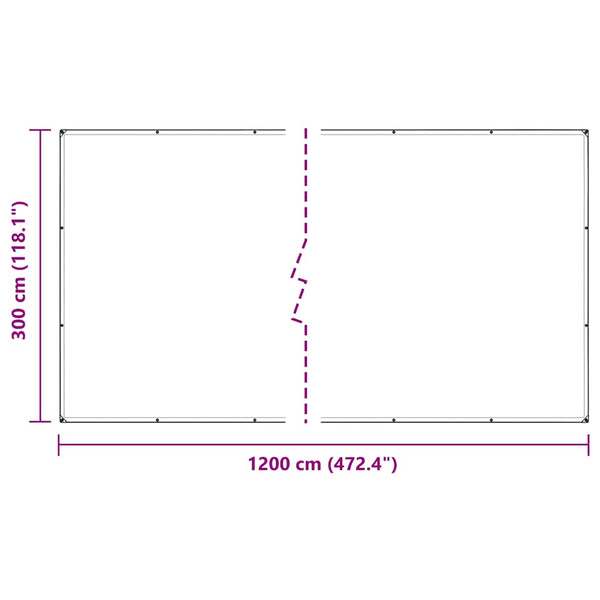 vidaXL Bâche transparente à œillets 3x12 m Polyéthylène