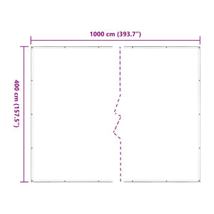 vidaXL Bâche transparente avec œillets 4x10 m Polyéthylène
