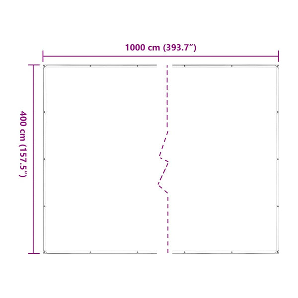 vidaXL Bâche transparente avec œillets 4x10 m Polyéthylène