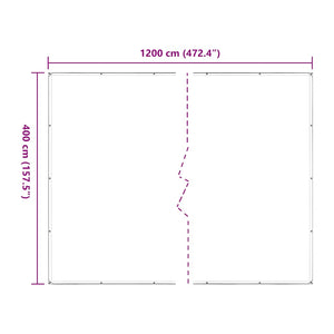 vidaXL Bâche transparente avec œillets 4x12 m Polyéthylène