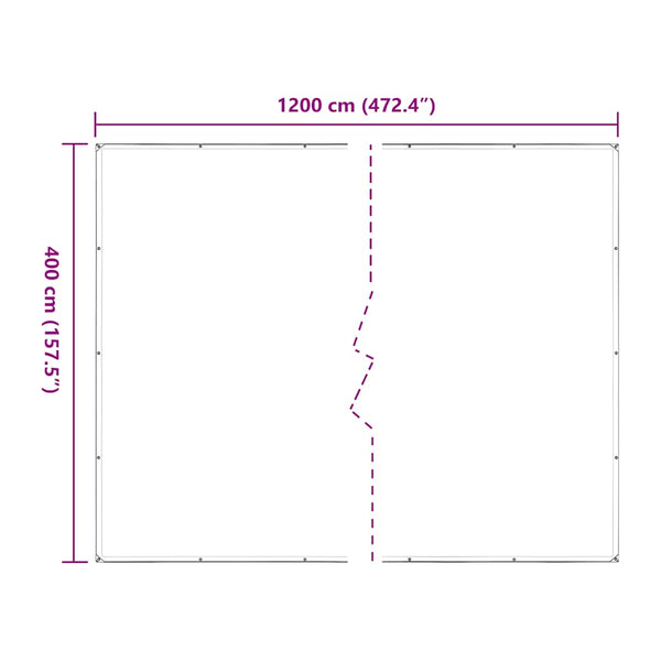vidaXL Bâche transparente avec œillets 4x12 m Polyéthylène