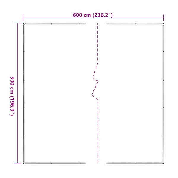 vidaXL Bâche transparente avec œillets 5x6 m polyéthylène