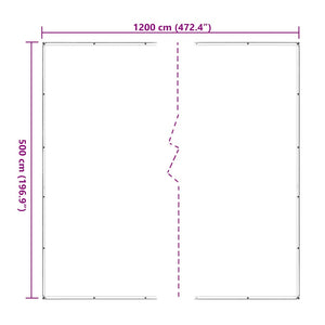 vidaXL Bâche transparente avec œillets 5x12 m Polyéthylène