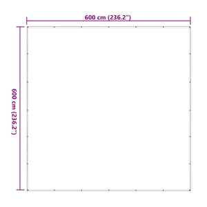 vidaXL Bâche transparente à œillets 6x6 m Polyéthylène