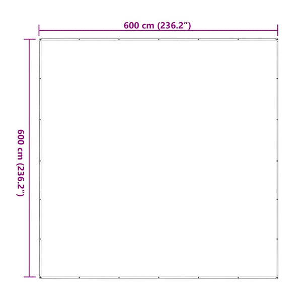vidaXL Bâche transparente à œillets 6x6 m Polyéthylène