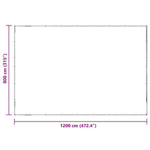 vidaXL Bâche transparente avec œillets 8x12 m Polyéthylène