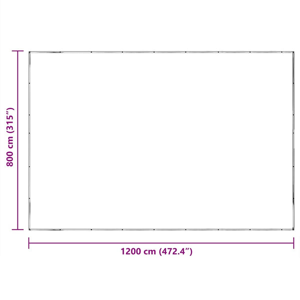 vidaXL Bâche transparente avec œillets 8x12 m Polyéthylène