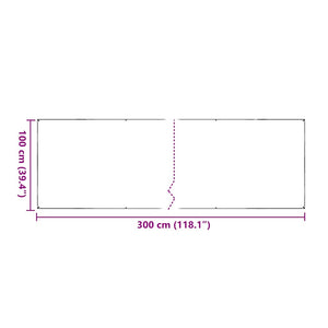 Transparente PVC Plane mit Ösen 1x3m
