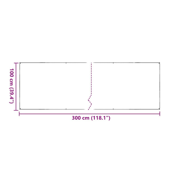 Transparente PVC Plane mit Ösen 1x3m