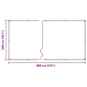 Transparente PVC Plane mit Ösen 2x8 m