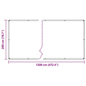 vidaXL Bâche transparente avec œillets 2x12 m PVC