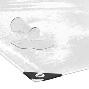 vidaXL Bâche Transparente avec Œillets 3x6 m PVC