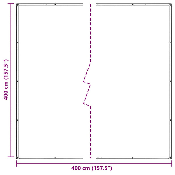 vidaXL Bâche transparente avec œillets 4x4 m PVC