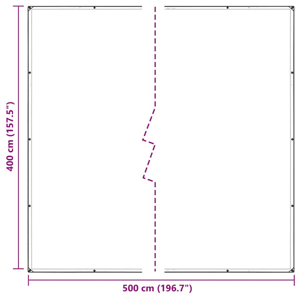 vidaXL Bâche transparente avec œillets 4x5 m PVC