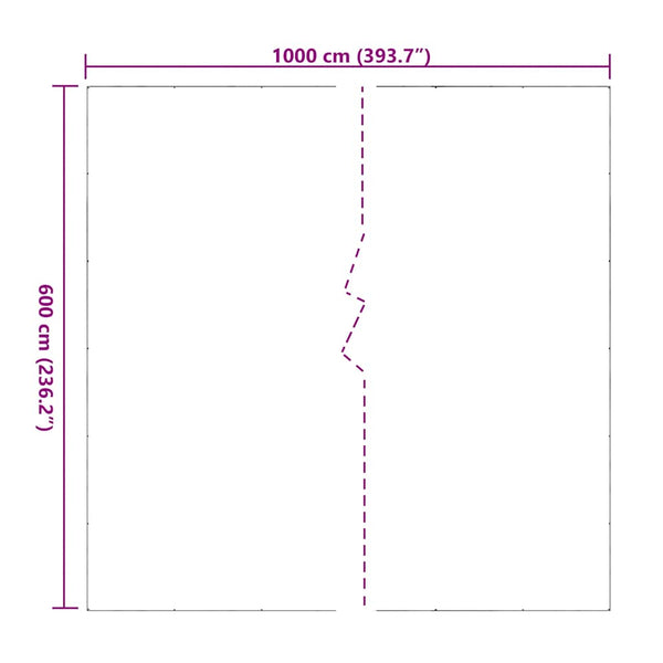Transparente PVC Plane mit Ösen 6x10 m