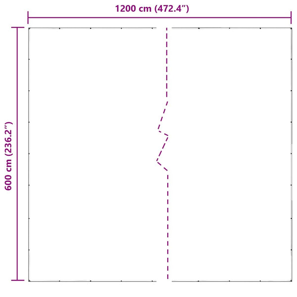 Transparente PVC Plane 6x12 m