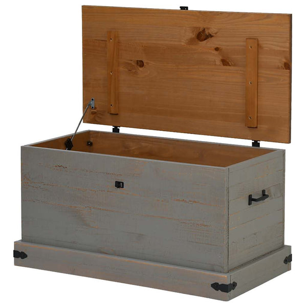Graue Kiefernholz Truhe HALDEN 91x48x47 cm