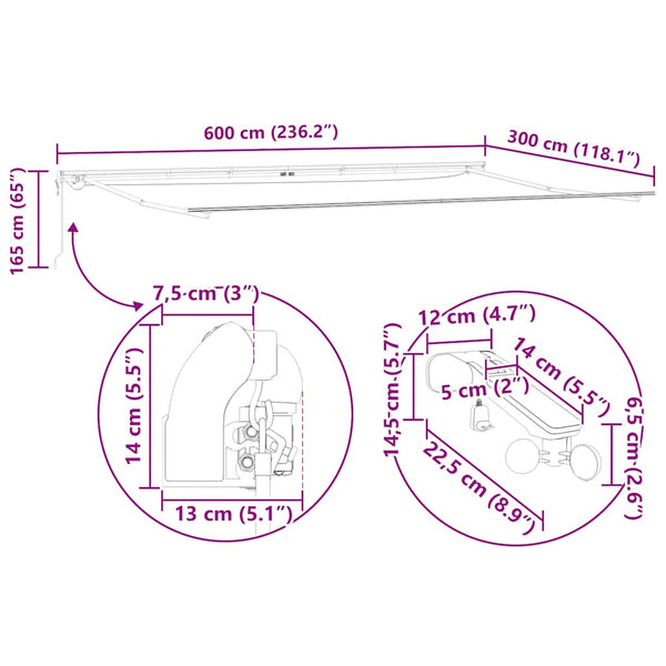 Automatische Weinrote LED Markise 600x300 cm