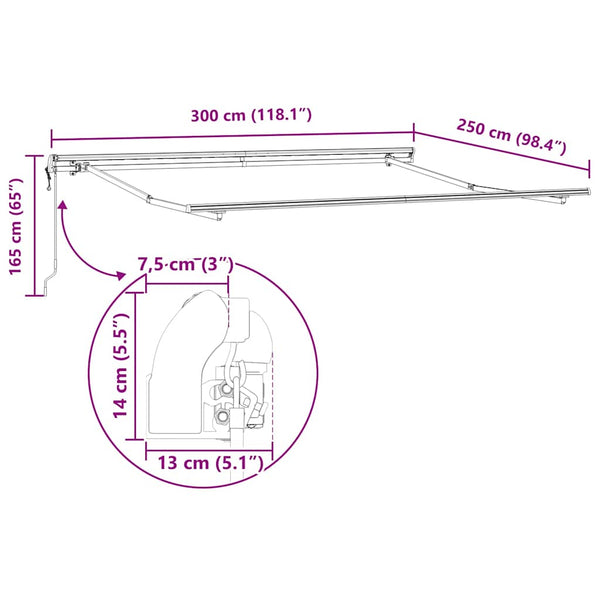 Automatische Markise Anthrazit & Weiß 300x250 cm