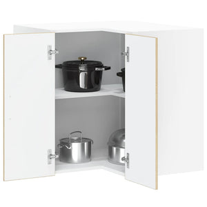 Eckhängeschrank Küche Sonoma-Eiche